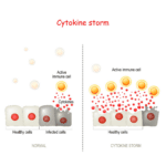 Peptides and Immunomodulation